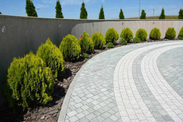 Best Commercial Driveway Paving in Cicero, IL